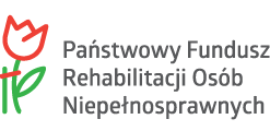 Zdjęcie artykułu Wypracowanie i pilotażowe wdrożenie modelu kompleksowej rehabilitacji umożliwiającej podjęcie lub powrót do pracy